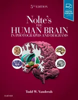 Nolteho lidský mozek ve fotografiích a schématech - Nolte's the Human Brain in Photographs and Diagrams