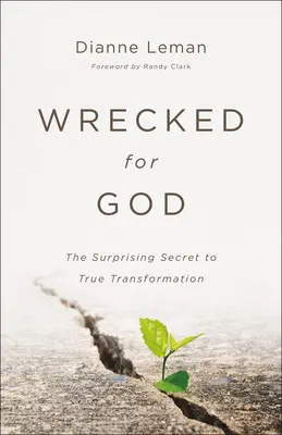 Ztroskotání pro Boha: Překvapivé tajemství skutečné proměny - Wrecked for God: The Surprising Secret to True Transformation
