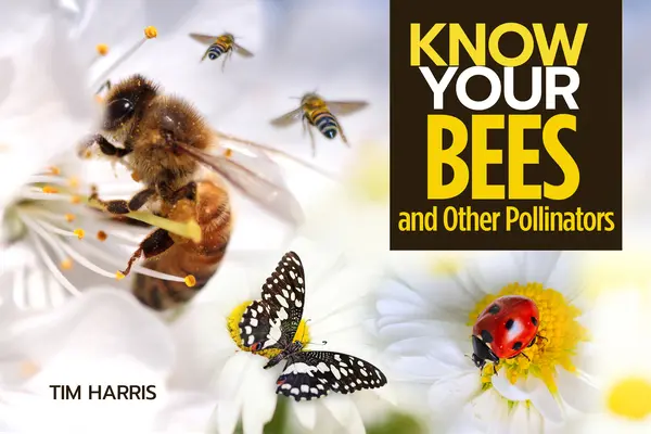 Poznejte své opylovače - Know Your Pollinators