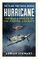 Hurricane - letadlo, které zachránilo Británii - Hurricane - The Plane That Saved Britain