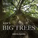 Velké stromy v Kew - Kew's Big Trees