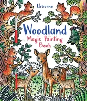 Kniha Kouzelné malování lesů - Woodland Magic Painting Book