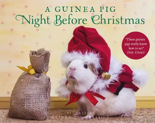 Morčecí noc před Vánocemi - A Guinea Pig Night Before Christmas