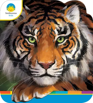 Tygři - Tigers