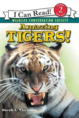 Úžasní tygři! - Amazing Tigers!