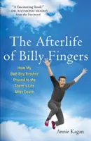 Posmrtný život Billyho Fingerse: Jak mi můj zlobivý bratr dokázal, že po smrti existuje život - Afterlife of Billy Fingers: How My Bad-Boy Brother Proved to Me There's Life After Death