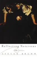 Reflexe Narcise: Queer estetika - Reflecting Narcissus: A Queer Aesthetic