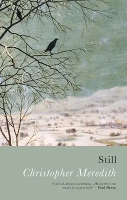 Stále - Still