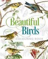 Krásní ptáci Omalovánky - Beautiful Birds Colouring Book