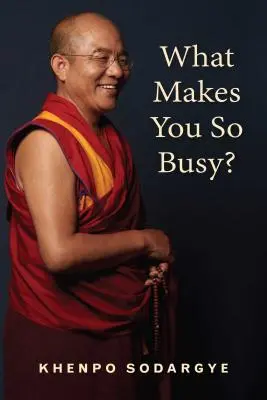 Proč jsi tak zaneprázdněný? Hledání klidu v moderním světě - What Makes You So Busy?: Finding Peace in the Modern World