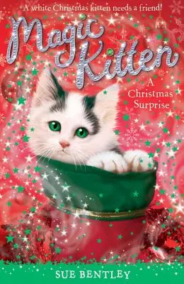 Vánoční překvapení - A Christmas Surprise