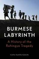 Barmský labyrint (Lbe) - Burmese Labyrinth (Lbe)