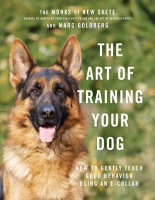 Umění výcviku psa: Jak jemně naučit psa správnému chování pomocí obojku? - The Art of Training Your Dog: How to Gently Teach Good Behavior Using an E-Collar