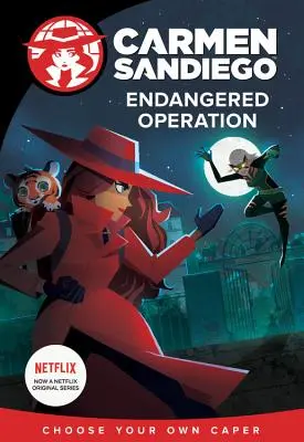 Ohrožený provoz - Endangered Operation