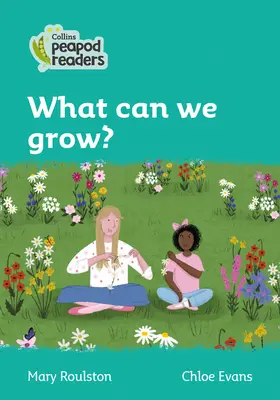 Úroveň 3 - Co můžeme pěstovat? - Level 3 - What can we grow?