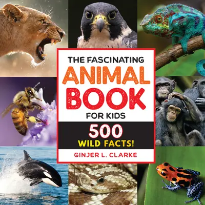 Fascinující kniha o zvířatech pro děti: 500 faktů o divokých zvířatech! - The Fascinating Animal Book for Kids: 500 Wild Facts!