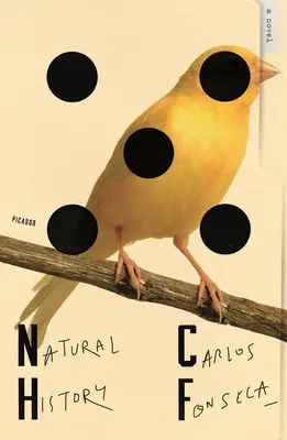 Přírodní historie - Natural History