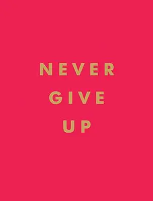 Nikdy se nevzdávej - Never Give Up