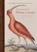 Zvědavý pan Catesby: Přírodovědec objevuje nové světy“ - The Curious Mister Catesby: A Truly Ingenious