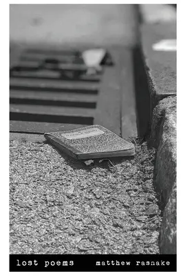 ztracené básně - lost poems