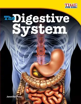 Trávicí soustava - The Digestive System