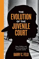 Vývoj soudu pro mladistvé: Rasa, politika a kriminalizace soudnictví pro mladistvé - The Evolution of the Juvenile Court: Race, Politics, and the Criminalizing of Juvenile Justice