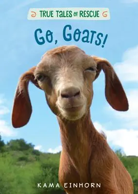 Do toho, kozy! - Go, Goats!