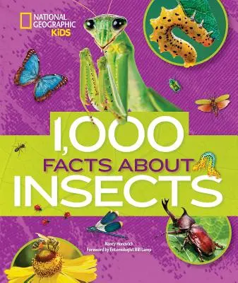 1 000 faktů o hmyzu - 1,000 Facts about Insects