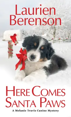 Přichází Santa Tlapky - Here Comes Santa Paws