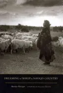Snění o ovcích v zemi Navahů - Dreaming of Sheep in Navajo Country