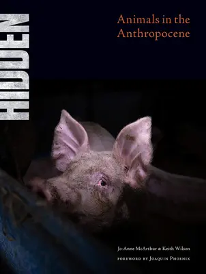 Skrytý: Zvířata v antropocénu - Hidden: Animals in the Anthropocene