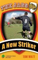 Nový útočník - New Striker
