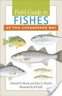 Terénní průvodce rybami Chesapeackého zálivu - Field Guide to Fishes of the Chesapeake Bay