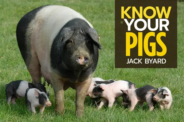 Poznejte svá prasata - Know Your Pigs