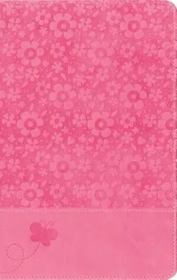 Bible dobrodružná pro malé čtenáře-NIRV - Adventure Bible for Early Readers-NIRV
