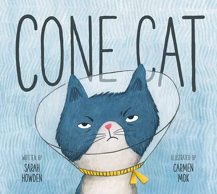 Kuželovitá kočka - Cone Cat