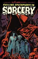 Mrazivá dobrodružství v čarodějnictví - Chilling Adventures in Sorcery