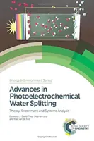 Pokroky ve fotoelektrochemickém štěpení vody: Teorie, experiment a systémová analýza - Advances in Photoelectrochemical Water Splitting: Theory, Experiment and Systems Analysis