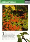 Britské stromy - okamžitý průvodce - British Trees - The Instant Guide