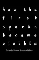 Jak se zviditelnily první jiskry - how the first sparks became visible