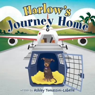 Harlowova cesta domů - Harlow's Journey Home