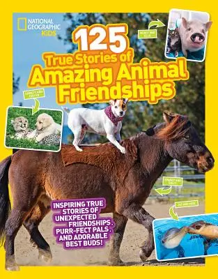 125 skutečných příběhů o úžasných přátelstvích se zvířaty - 125 True Stories of Amazing Animal Friendships