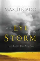 V oku bouře: Ježíš ví, jak se cítíš - In the Eye of the Storm: Jesus Knows How You Feel