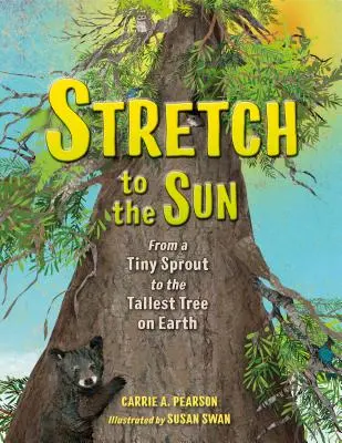 Natáhnout se ke slunci: Od malého výhonku k nejvyššímu stromu na Zemi - Stretch to the Sun: From a Tiny Sprout to the Tallest Tree on Earth