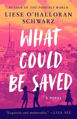 Co by se dalo zachránit - What Could Be Saved