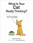 Co si vaše kočka skutečně myslí? - What Is Your Cat Really Thinking?