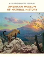 Omalovánky diorámat - A Coloring Book of Dioramas