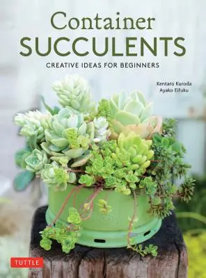 Kontejnerové sukulenty: Tvořivé nápady pro začátečníky - Container Succulents: Creative Ideas for Beginners