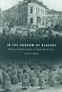 Ve stínu otroctví: Afroameričané v New Yorku v letech 1626-1863. - In the Shadow of Slavery: African Americans in New York City, 1626-1863