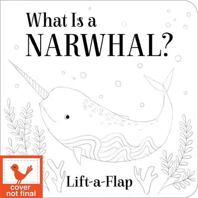Co je narval? - What Is a Narwhal?